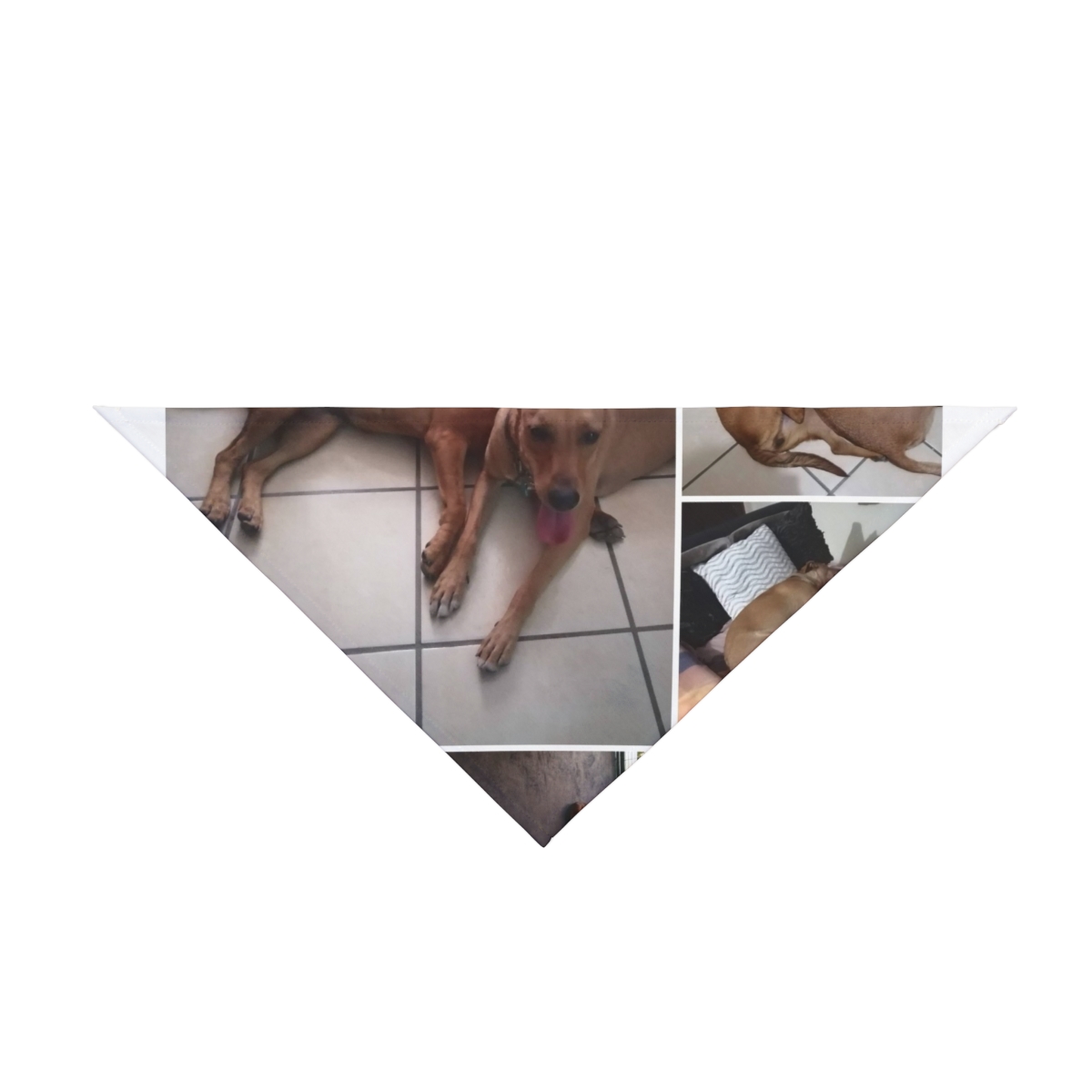 Pet Bandana